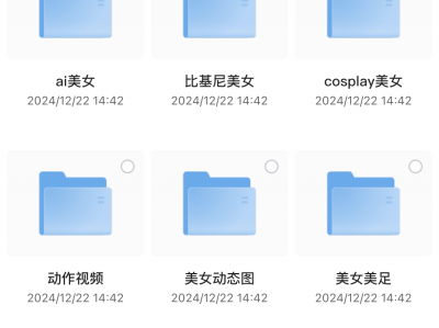 在某个博主哪里花了299买来套图，含有各种类型（嘘🤫~），用作壁纸很不错